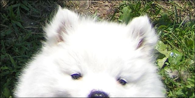 pict0019.jpg