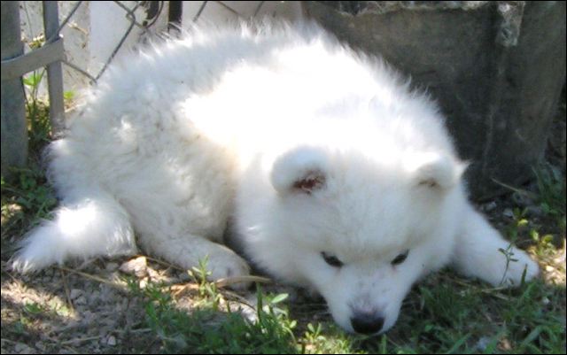 pict0024.jpg