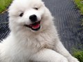 8wks-happy girl