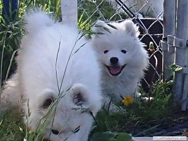 9wks-boys2