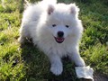 9wks-boy4