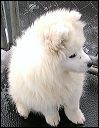 PICT0055.JPG 