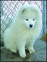 PICT0060.JPG 