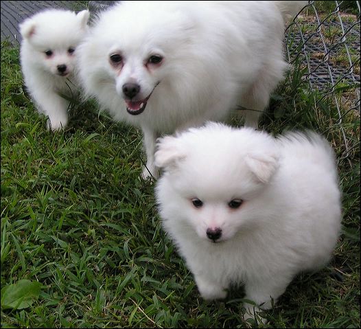 mom-bo~1.jpg