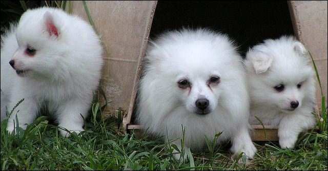 mom-bo~2.jpg