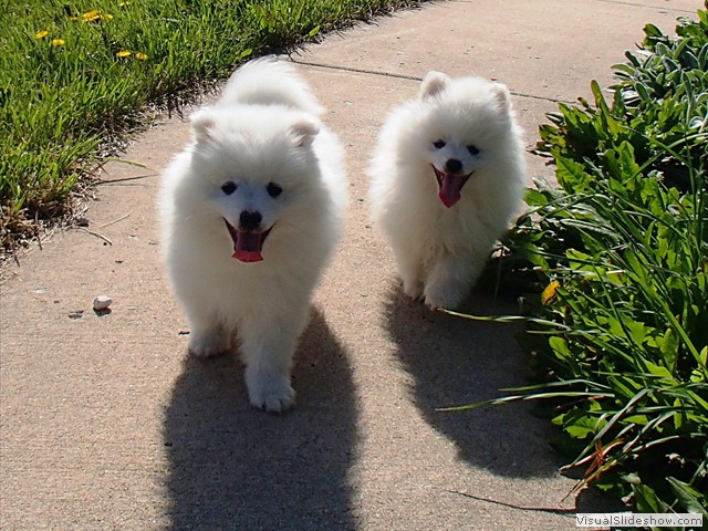 boy B(left)-boy A(right)
