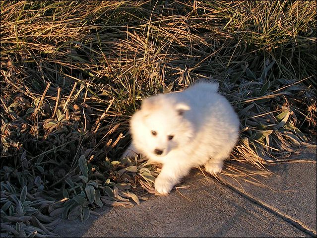 boy-3.jpg