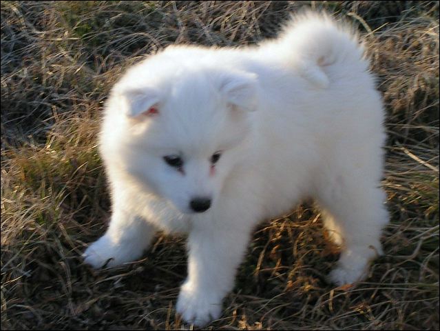 boy-5.jpg