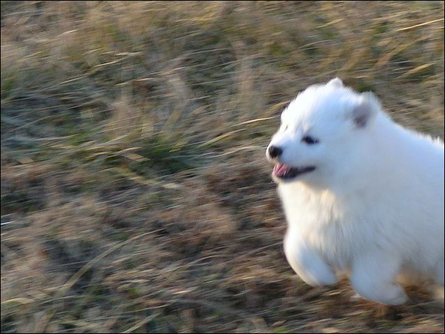 boy-run.jpg