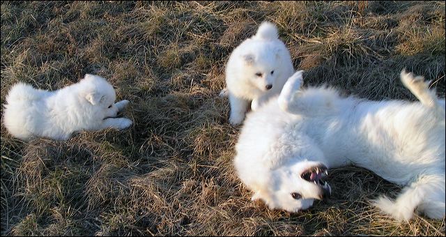 mom-bo~1.jpg