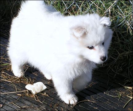 boy-6.jpg