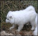 pict0128