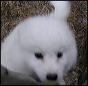 pict0130