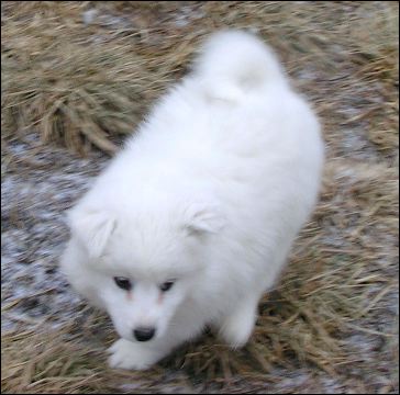 pict0127.jpg