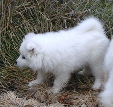 pict0128.jpg