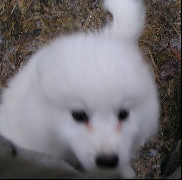 pict0130.jpg