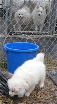 pict0134.jpg