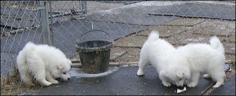 pict0138.jpg