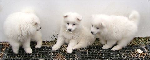 pict0143.jpg