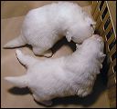 pict0116