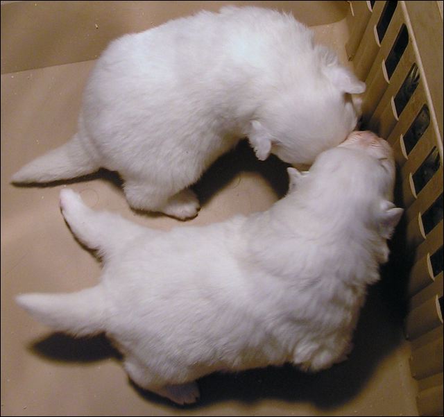pict0116.jpg