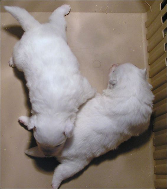 pict0117.jpg