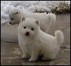 PICT0003.JPG 