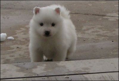 pict0023.jpg