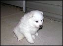 pict0007
