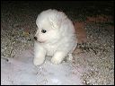 pict0009