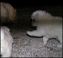 pict0013