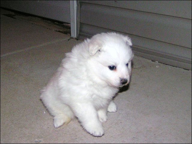 pict0007.jpg