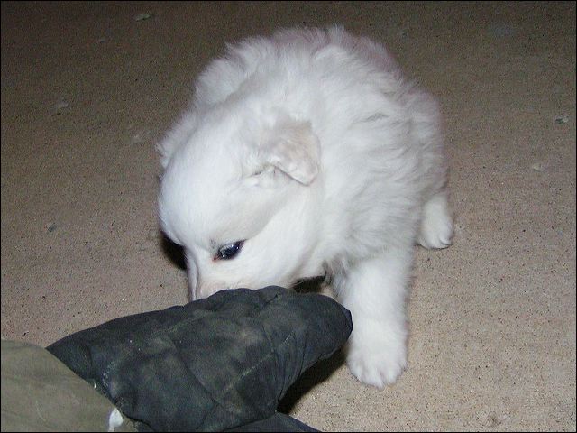 pict0008.jpg