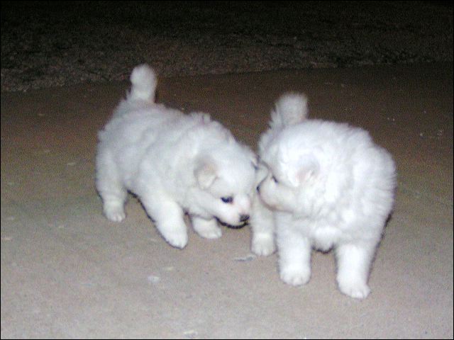 pict0014.jpg