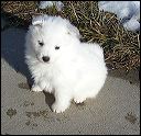 PICT0062.JPG 