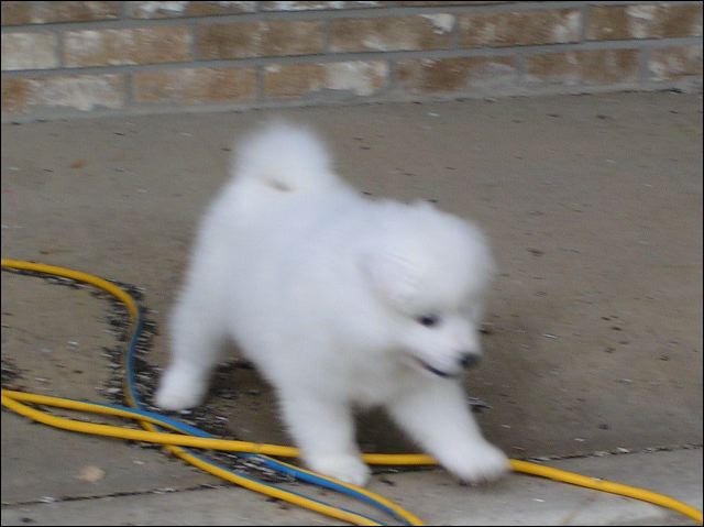 boy-3.jpg