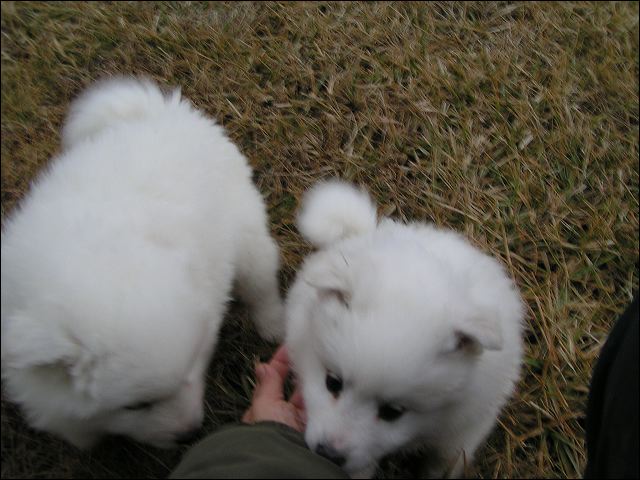 boy-girl.jpg