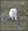 pict0072