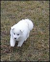 pict0073