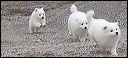 pict0075