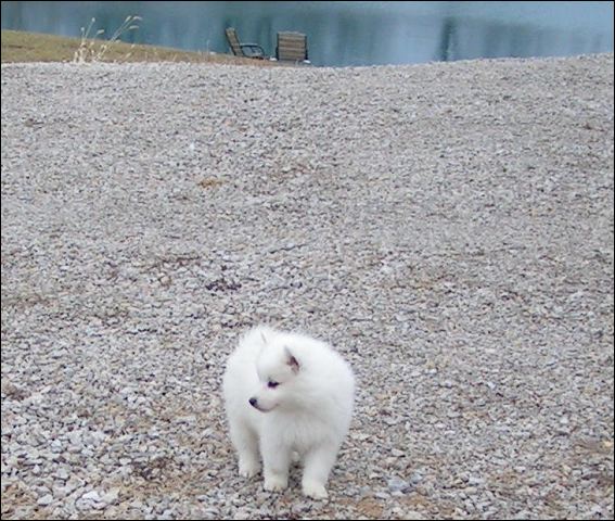pict0070.jpg