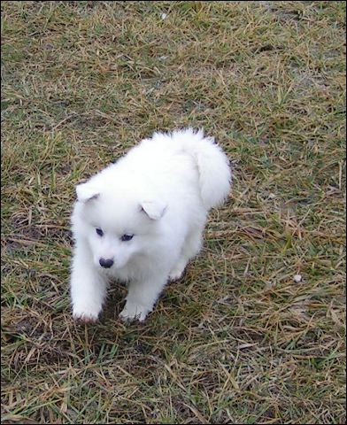 pict0073.jpg