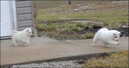 pict0077.jpg