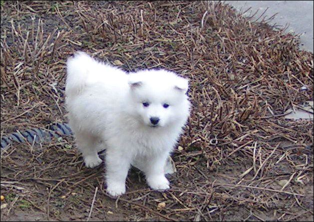 pict0082.jpg