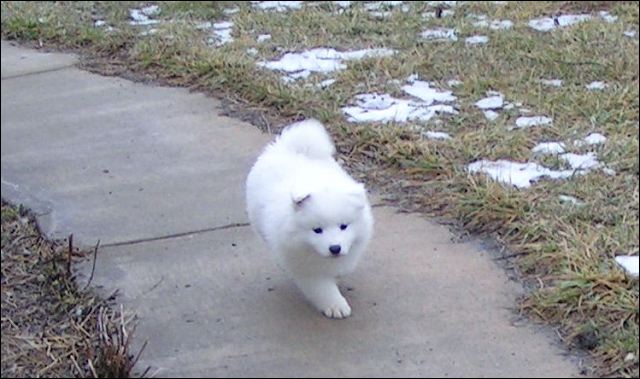 pict0090.jpg