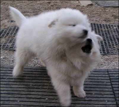 bighug~1.jpg