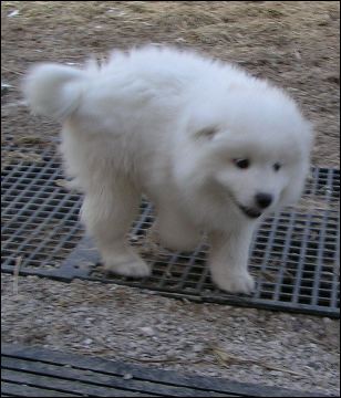 boy-3.jpg