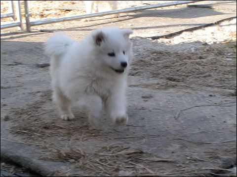 pict0039.jpg