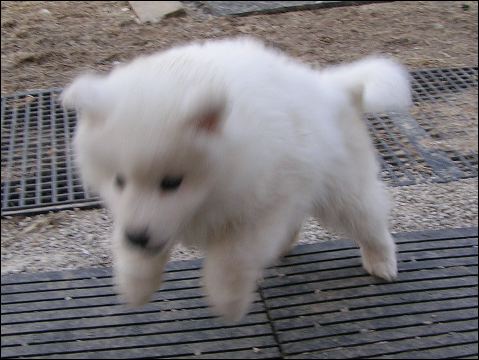 pict0051.jpg