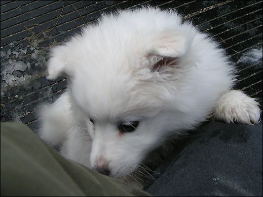 pict0020.jpg